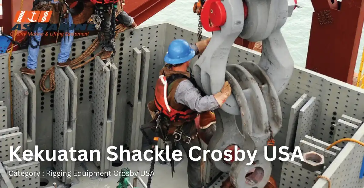 kekuatan shackle crosby usa